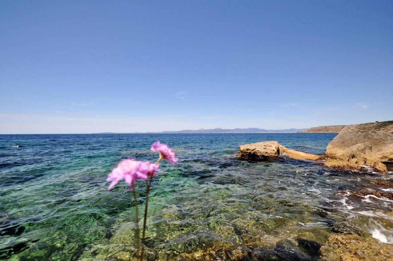 Villa Hugo- Badia Gran- Llucmajor- Mallorca מראה חיצוני תמונה